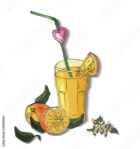 Orange juice  on an isolated background. Hand drawn sketch.