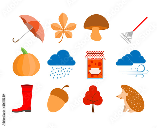 autumn elements illustration