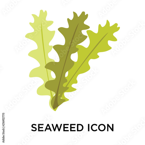 seaweed icons isolated on white background. Modern and editable seaweed icon. Simple icon vector illustration.