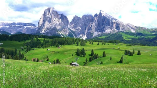 View of the beautiful Dolomites the mountain peak of Langkofel Group at Seiser Alm with the beautiful field of yellow flowers swaying in the wind and small Italian village in South Tyrol, Italy.