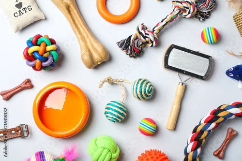 Fototapeta Mieszkanie świeckich skład z akcesoriami dla psa i kota na jasnym tle. Opieki nad Zwierzętami