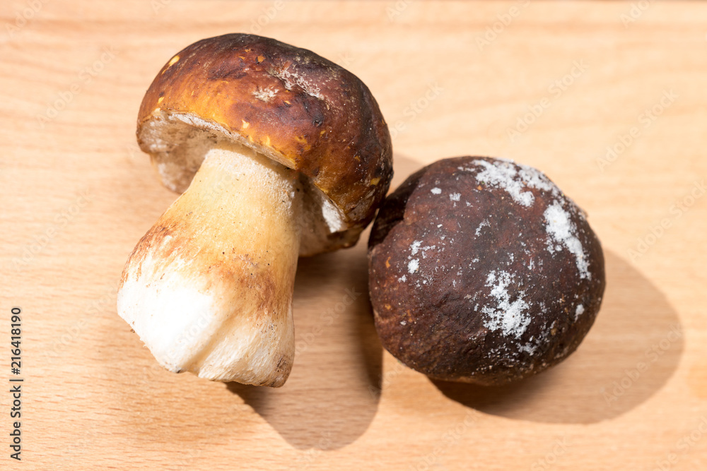 two frozen wild white mushrooms lie on a wooden Board two frozen wild white mushrooms lie on a wooden Board