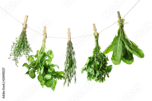 Fresh green herbs hanging on rope against white background