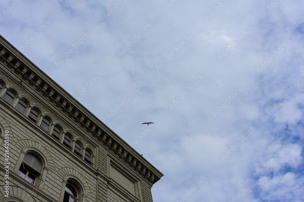 Swiss Parliament Building called Bundeshaus in Berne with bird