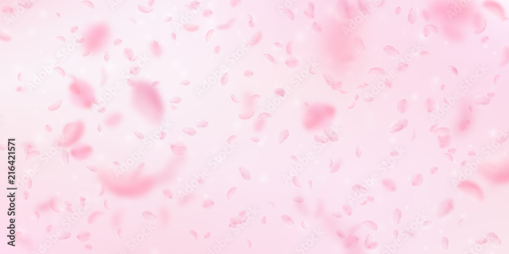 Sakura petals falling down. Romantic pink flowers falling rain. Flying petals on pink wide backgroun