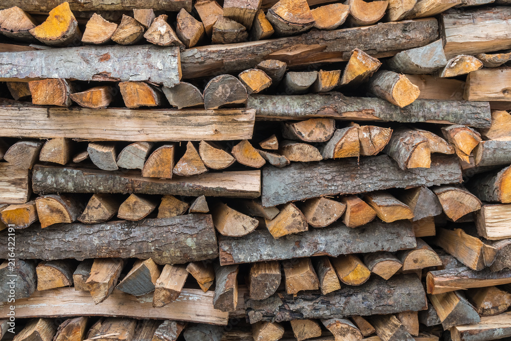 Preparation of firewood for the winter. firewood background, Stacks of firewood in the forest. Pile of firewood Preparation of firewood for the winter. firewood background, Stacks of firewood in the forest. Pile of firewood