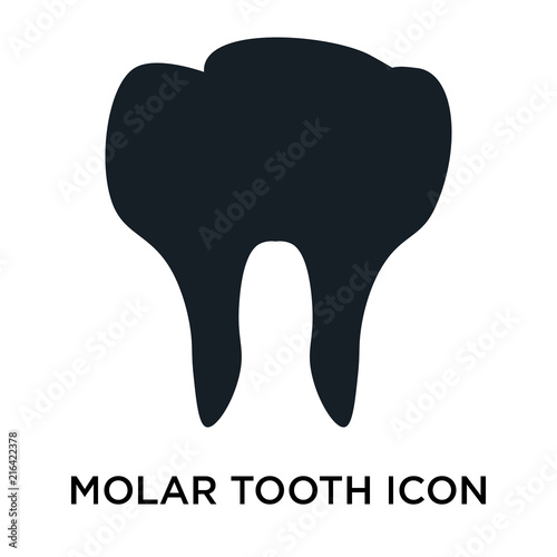 molar tooth icon on white background. Modern icons vector illustration. Trendy molar tooth icons