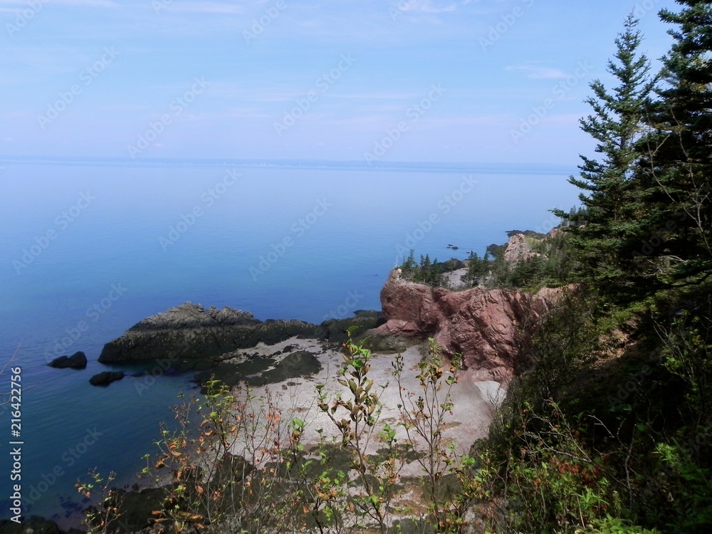 Fototapeta premium Untiled