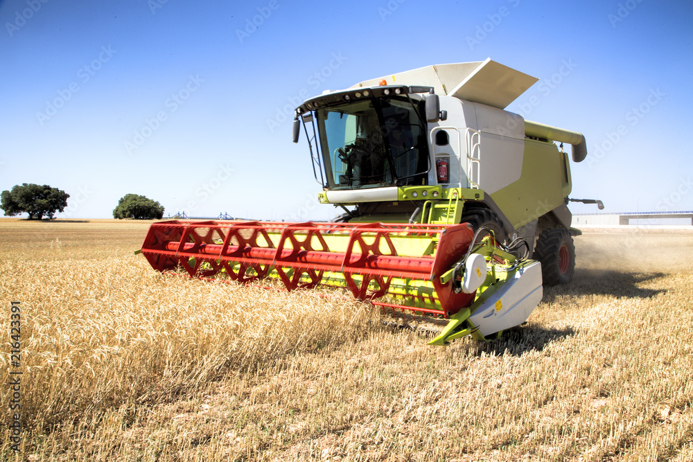 Fototapeta premium Tractor y cultivo