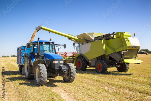 Tractor y cultivo