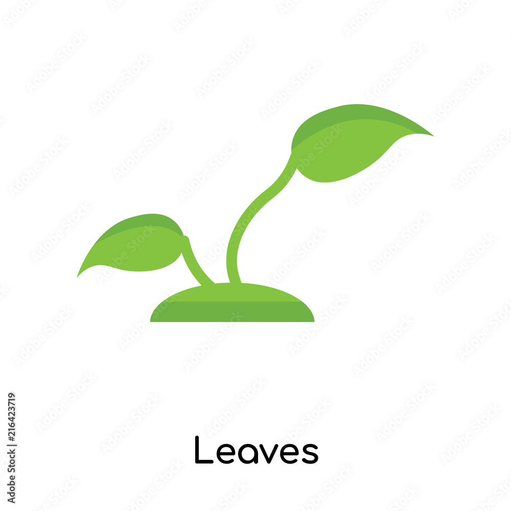 Leaves icon vector sign and symbol isolated on white background, Leaves logo concept Leaves icon vector sign and symbol isolated on white background, Leaves logo concept