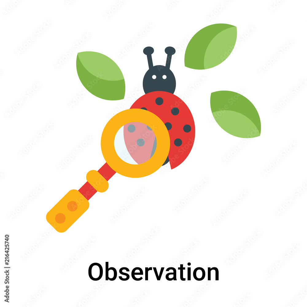 Fototapeta premium Observation icon vector sign and symbol isolated on white background, Observation logo concept