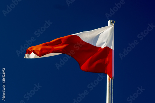 Biało- czerwona flaga Polski na wietrze. 