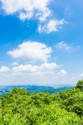 高尾山の大自然 Nature of Mt Takao