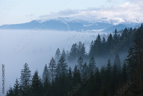 Spring landscape with morning mist in the mountains