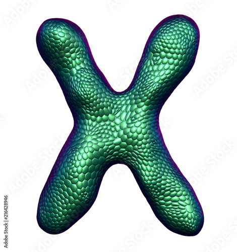 Letter X made of natural green snake skin texture isolated on white.