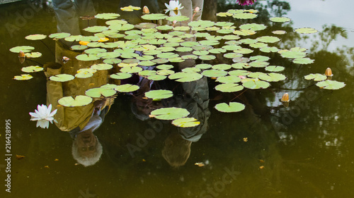 Ladies and Lillies