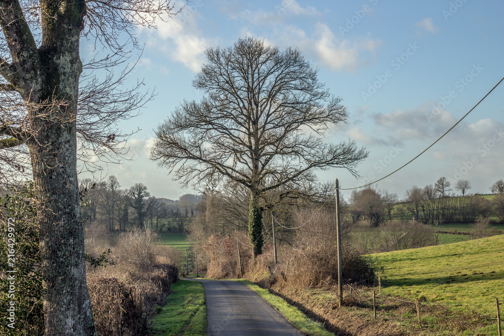 Correze Correze