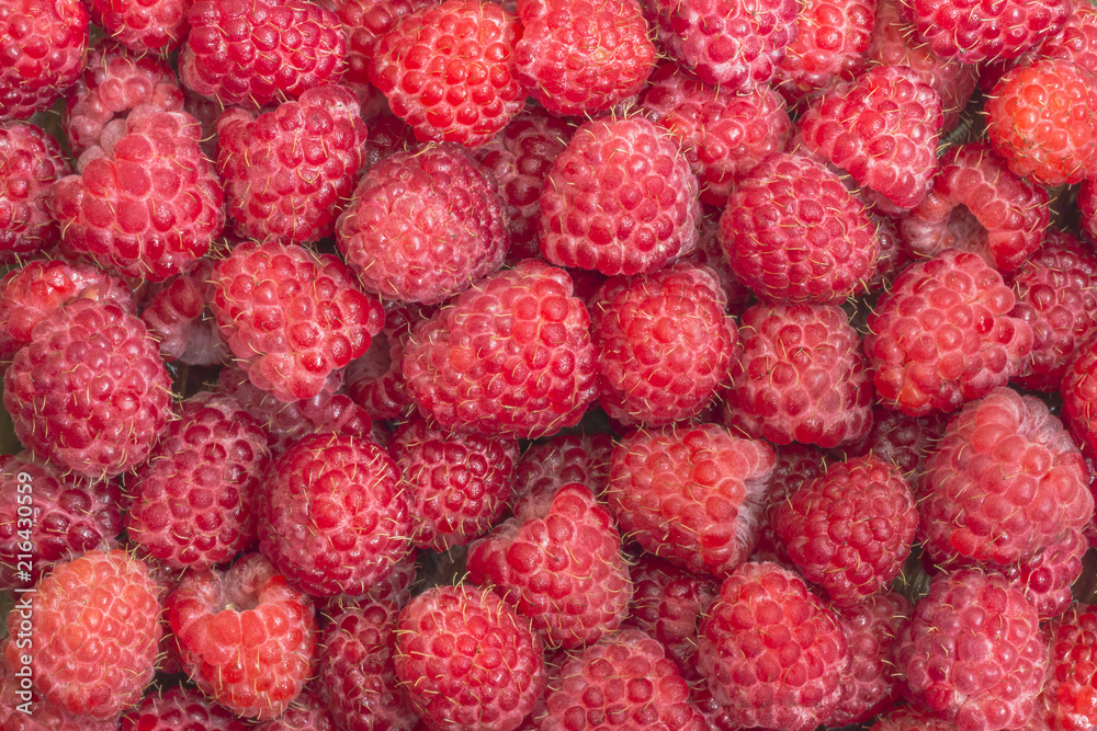 Raspberry. Fresh organic berries macro. Fruit background sweet raspberries Raspberry. Fresh organic berries macro. Fruit background sweet raspberries