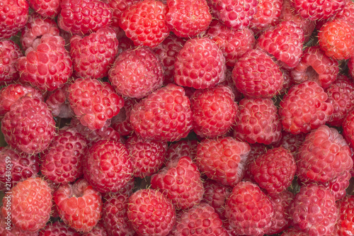 Raspberry. Fresh organic berries macro. Fruit background sweet raspberries