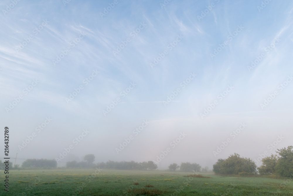Fototapeta premium Pasture and trees in morning misty fog with blue sky and cirrus clouds above