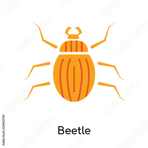 Beetle icon vector sign and symbol isolated on white background, Beetle logo concept
