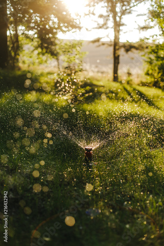 Bewässerung einer Wiese an einem sommerlichen Nachmittag © kay fochtmann