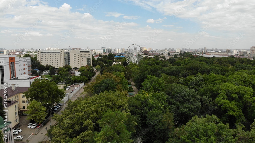 View of the park from a height. Foliage from the height. View of the park from a height. Foliage from the height.