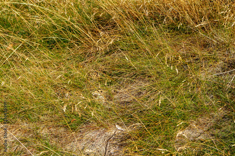 Rund um Tanplan vom 20.07.2018 Rund um Tanplan vom 20.07.2018