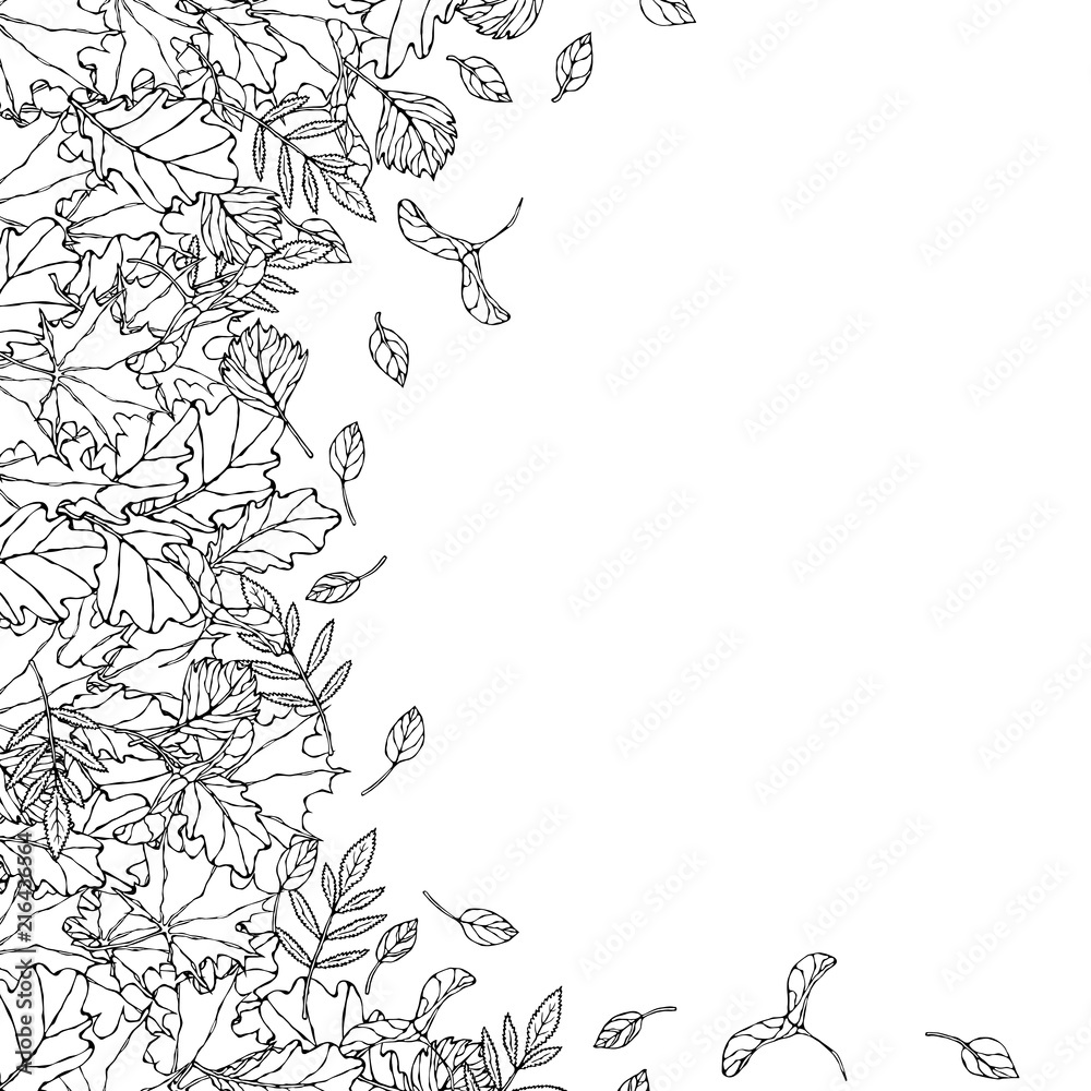 Fototapeta premium Autumn Background Layout Frame with Falling Leaves. Poster or Card. Maple Rowan, Oak, Hawthorn, Birch. Red, Orange and Yellow. Realistic Hand Drawn High Quality Vector Illustration. Doodle Style.