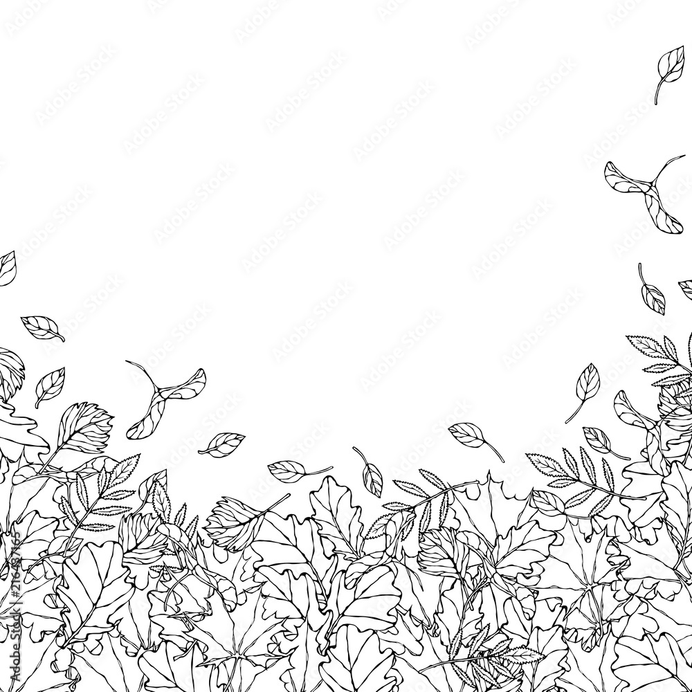 Fototapeta premium Autumn Background Layout Frame with Falling Leaves. Poster or Card. Maple Rowan, Oak, Hawthorn, Birch. Red, Orange and Yellow. Realistic Hand Drawn High Quality Vector Illustration. Doodle Style.