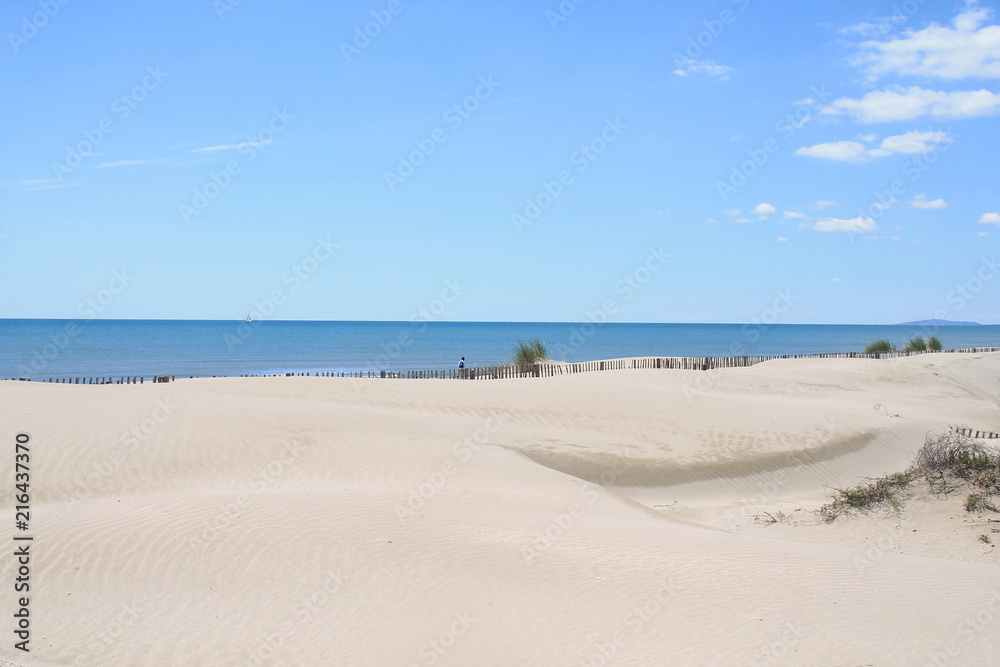Plage de rêve dans le Languedoc, le petit travers, plage de sable fin à Carnon, Hérault, Occitanie, France
Plage de rêve dans le Languedoc, le petit travers, plage de sable fin à Carnon, Hérault, Occitanie, France