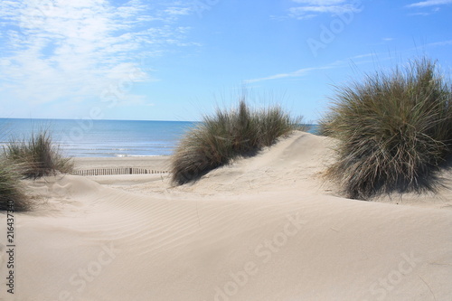 Plage de rêve dans le Languedoc, le petit travers, plage de sable fin à Carnon, Hérault, Occitanie, France 