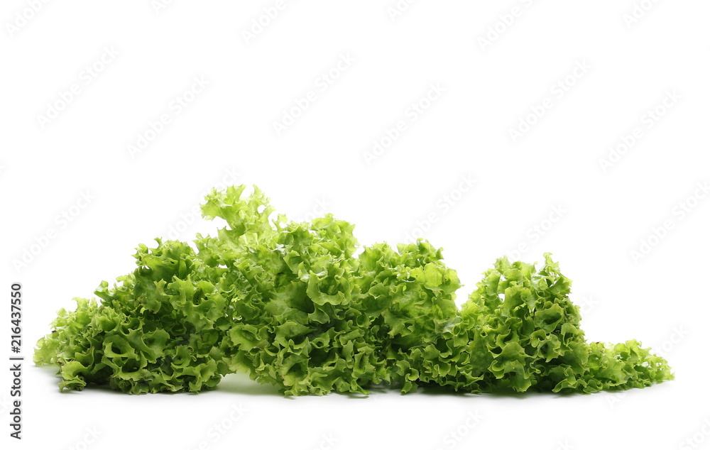 Fototapeta premium Fresh Lettuce isolated on white