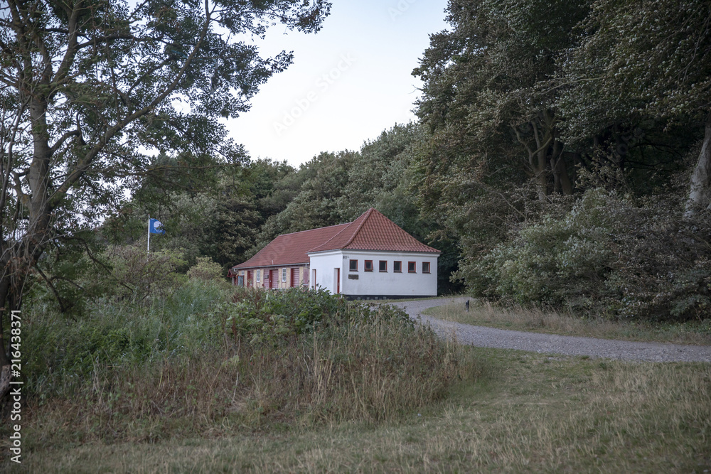 Going to the beech forest in Denmark Going to the beech forest in Denmark