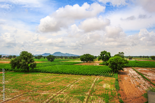 A panorama of a field of summer days from a bird's-eye view. Delhi jaipur Highway road