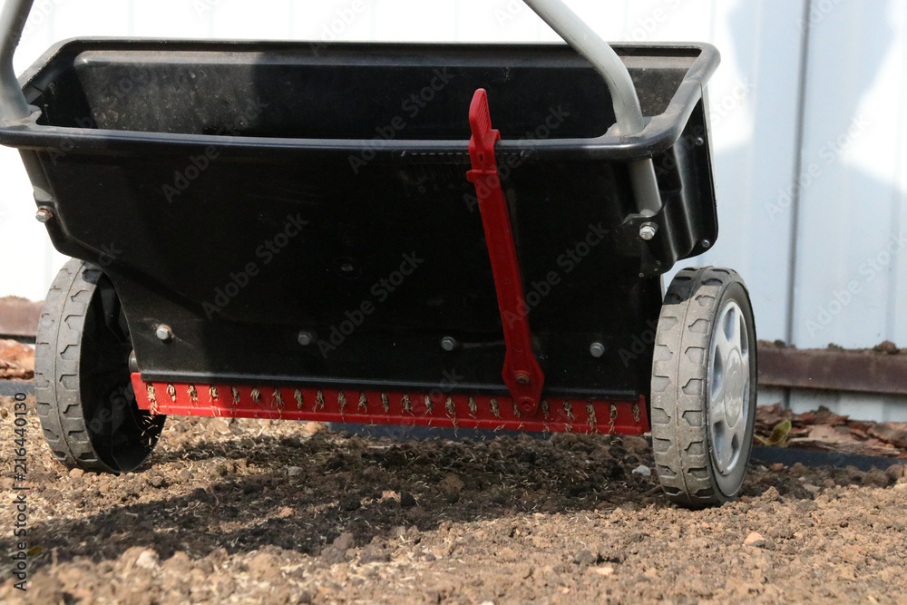Fototapeta premium Sowing lawn grass seeds with a drop lawn spreader in the summer garden