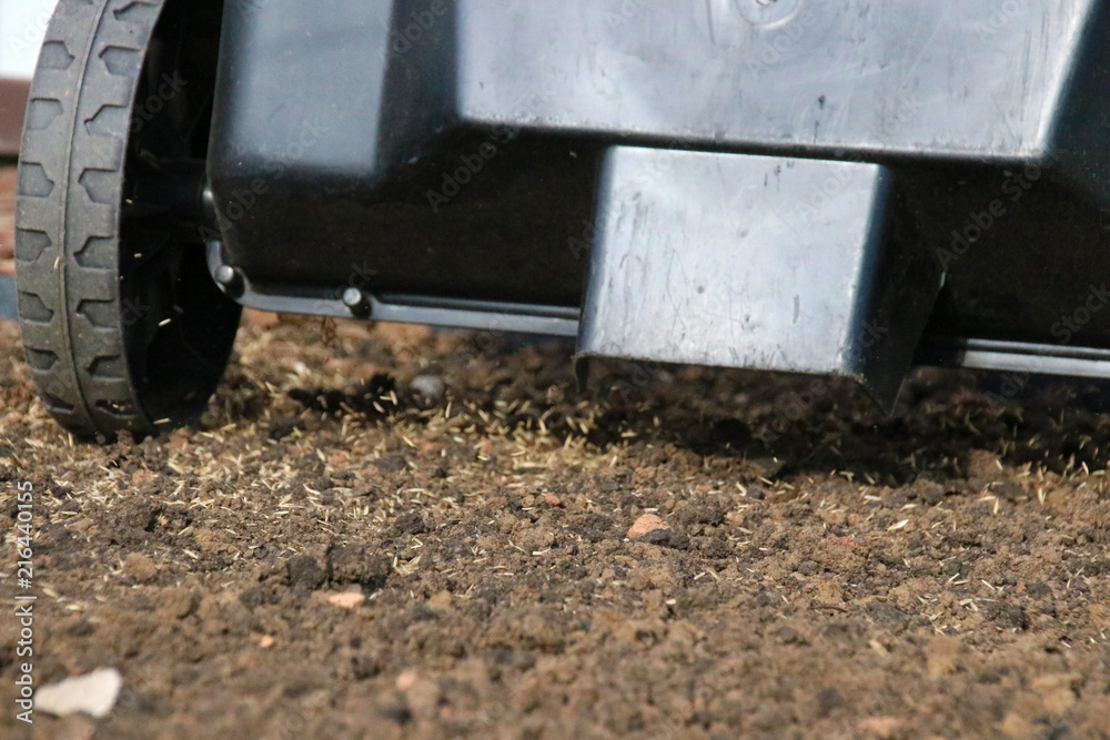 Sowing lawn grass seeds with a drop lawn spreader in the summer garden Sowing lawn grass seeds with a drop lawn spreader in the summer garden