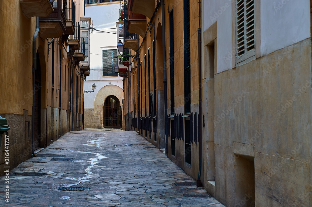 Fototapeta premium Old street in the historic center of Palma de Mallorca, Spain