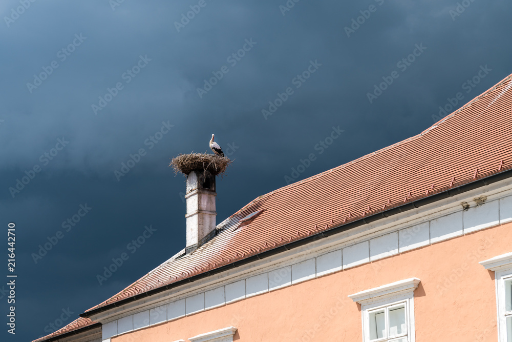 Schornstein mit Storchennest und Storch vor dunkelblauem Himmel