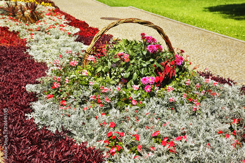 Flowerbed in park. Kudowa-Zdroj. Poland photo