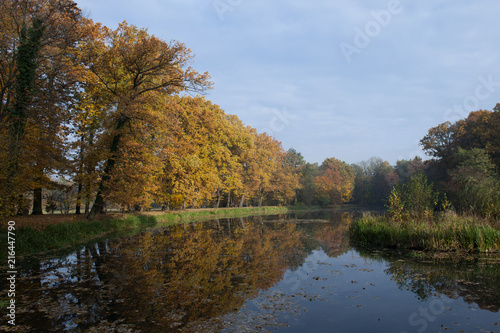 Jesień w parku 3