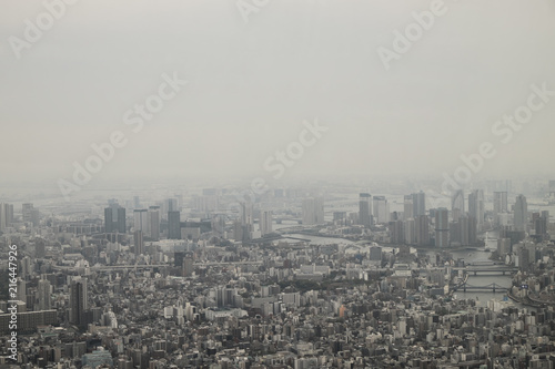 View of massve megapolis of Tokyo with its scyscrapers in a haze from bird eye view on a cloudy day. 