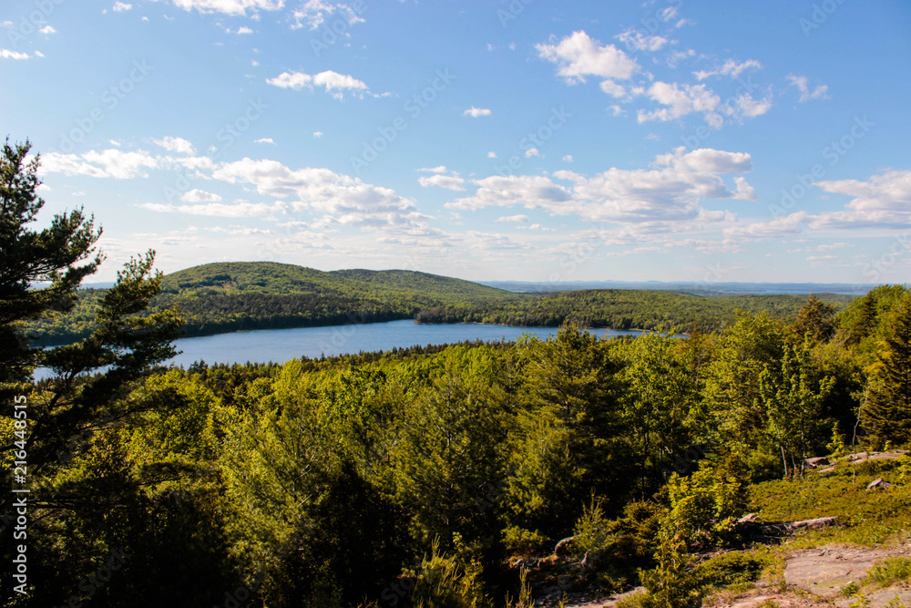 Fototapeta premium View of Lake and Forest in Acadia National Park
