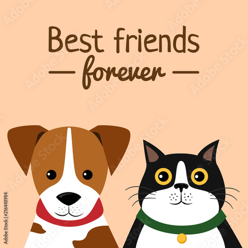 Cat and Dog characters. Best friend forever, vector illustration.