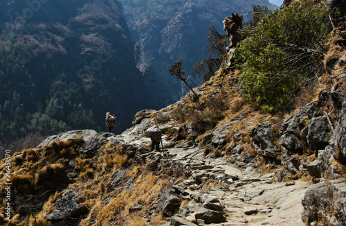 porters walking on the way to everest base camp. sagarmatha national park. nepal photo