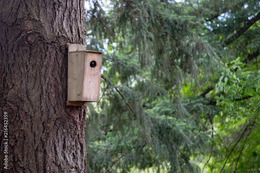 Small wooden birdhouse