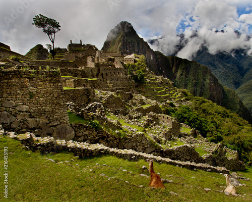Llama standing guard in front of Machu Picchu with Huayna Picchu looming in the background- a destination for a bucket list trip
