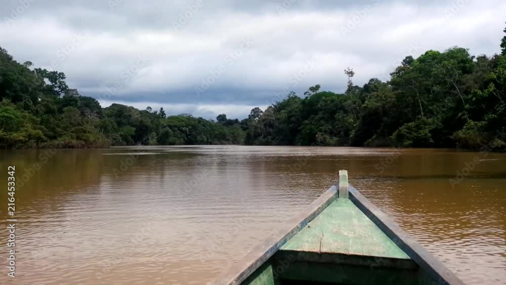 canoeing on a murky river of a tropical rainforest canoeing on a murky river of a tropical rainforest