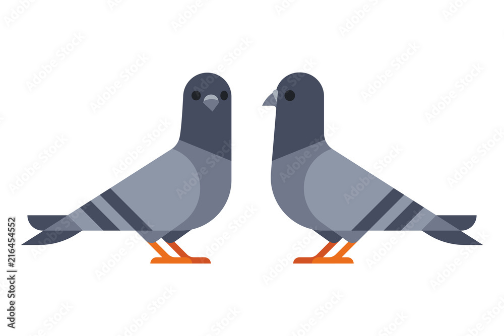 Foto Two pigeons simple illustration